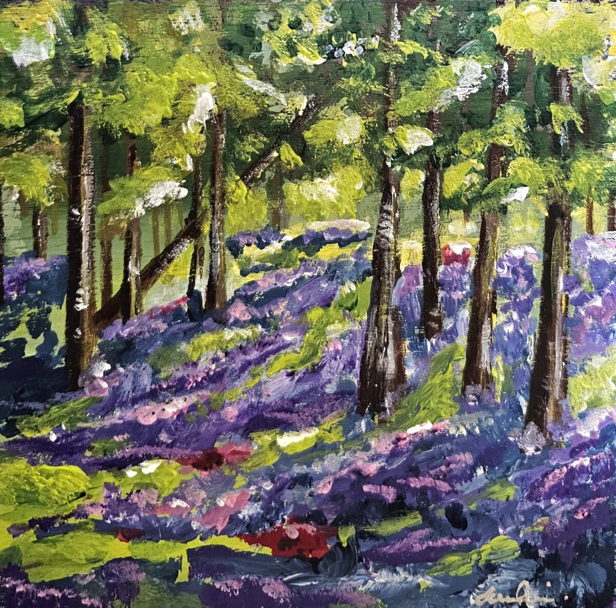 Bluebells in the woods