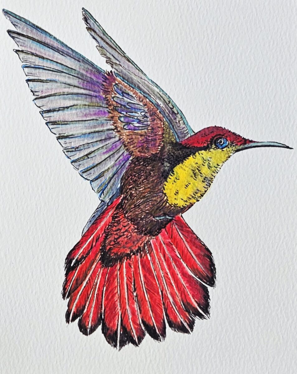Bird of Inspiration